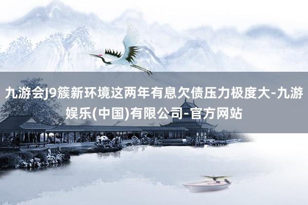 九游会J9簇新环境这两年有息欠债压力极度大-九游娱乐(中国)有限公司-官方网站