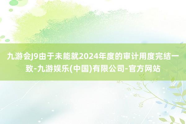九游会J9由于未能就2024年度的审计用度完结一致-九游娱乐(中国)有限公司-官方网站