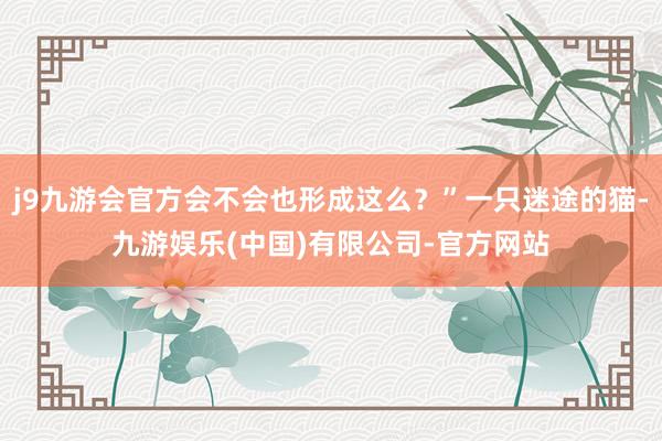 j9九游会官方会不会也形成这么？”一只迷途的猫-九游娱乐(中国)有限公司-官方网站