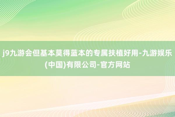 j9九游会但基本莫得蓝本的专属扶植好用-九游娱乐(中国)有限公司-官方网站