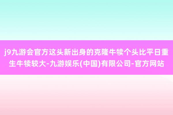 j9九游会官方这头新出身的克隆牛犊个头比平日重生牛犊较大-九游娱乐(中国)有限公司-官方网站