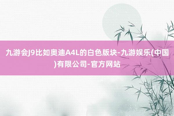 九游会J9比如奥迪A4L的白色版块-九游娱乐(中国)有限公司-官方网站