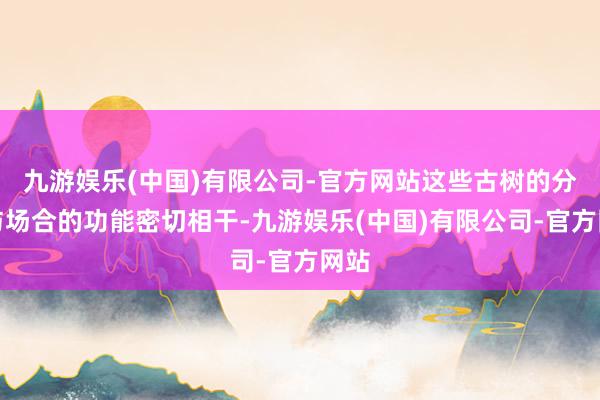 九游娱乐(中国)有限公司-官方网站这些古树的分散与场合的功能密切相干-九游娱乐(中国)有限公司-官方网站