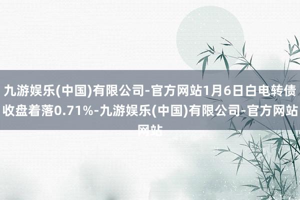 九游娱乐(中国)有限公司-官方网站1月6日白电转债收盘着落0.71%-九游娱乐(中国)有限公司-官方网站