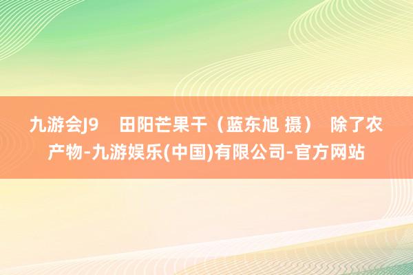 九游会J9    田阳芒果干（蓝东旭 摄）  除了农产物-九游娱乐(中国)有限公司-官方网站