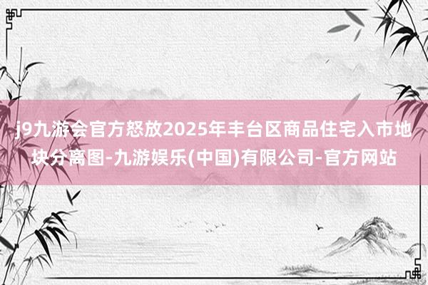 j9九游会官方怒放2025年丰台区商品住宅入市地块分离图-九游娱乐(中国)有限公司-官方网站