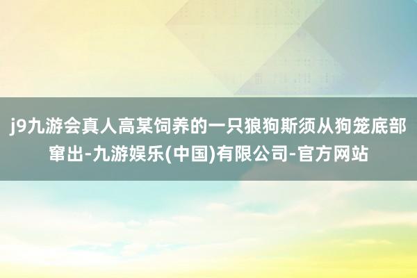 j9九游会真人高某饲养的一只狼狗斯须从狗笼底部窜出-九游娱乐(中国)有限公司-官方网站